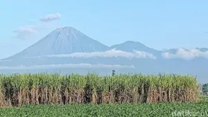 TNBTS Tutup Jalur Pendakian Semeru 7-18 Agustus Untuk Hari Raya Karo